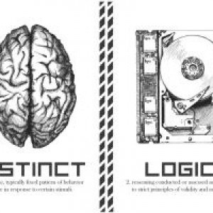 instinctlogic
