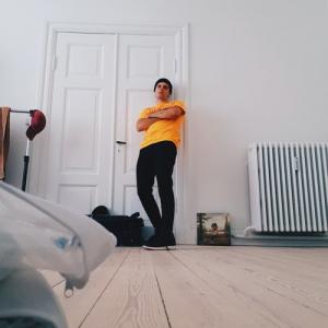 artislv