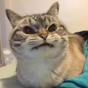 JBRD