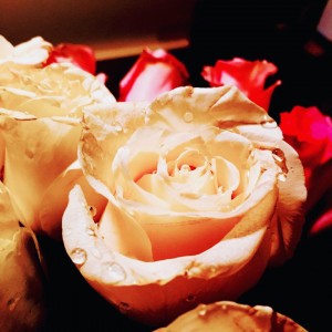 djmithe1
