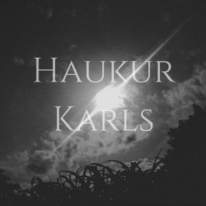 haukursindri