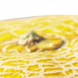 melonheadmusic1