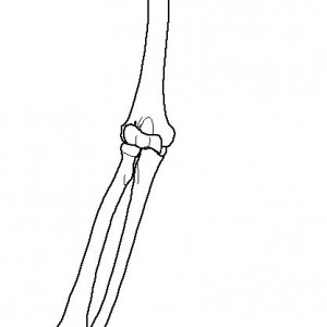 jjs6067