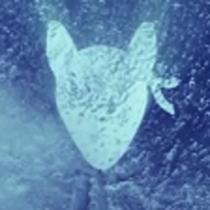 SubZeroSquirrel
