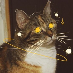 Lunarosa
