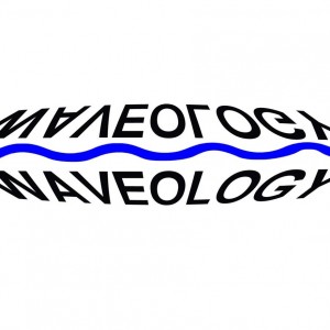 WaveologyBand