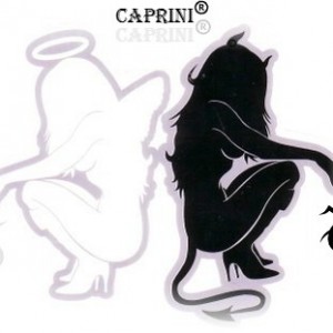 cahsene9415