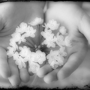 SinSOfDaiSy
