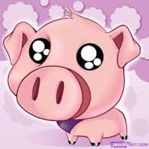 piggitoemicyolo