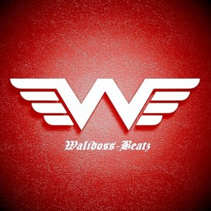 walidoss999