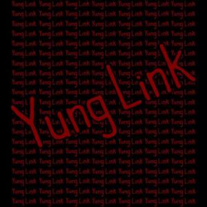 Link1337