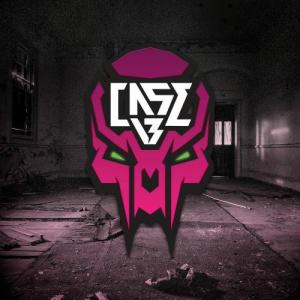 case13dj