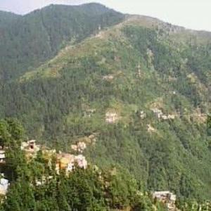 manikabrol80