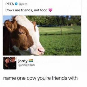 diala4asian