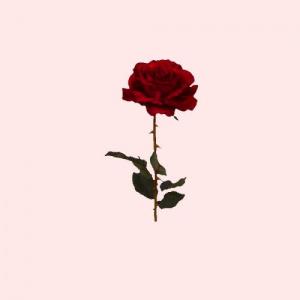 againstyouprod