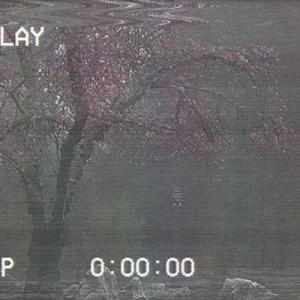 dngdng