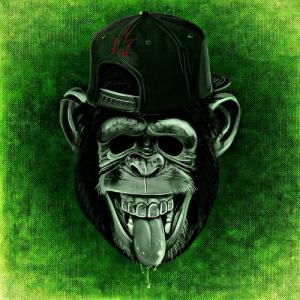 trivial24
