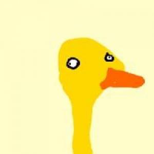 Animallow