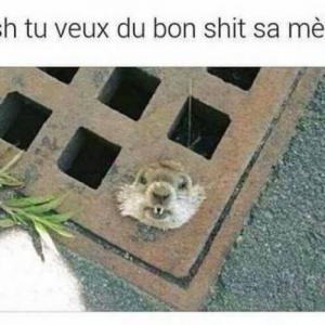 DKFrench