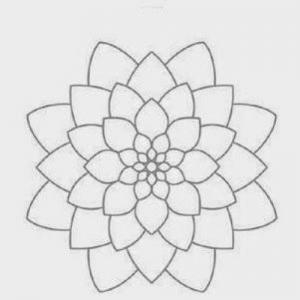 Fernandesd42