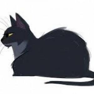 FantasyCat