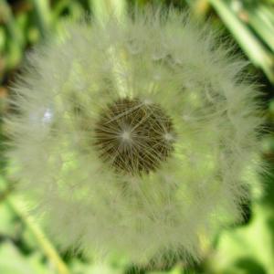 SoundA