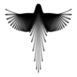 3IRDS