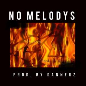 DtcityDannerz
