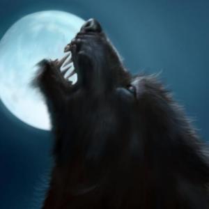 Spookie86
