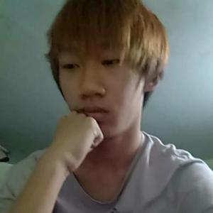 RexRekkusu