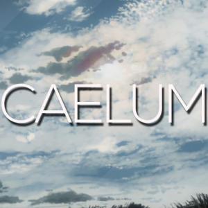 CaelumM