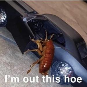 Roach666