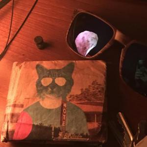silvermeow