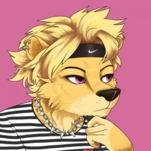 splashleo