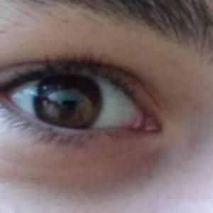 SilverWolf1