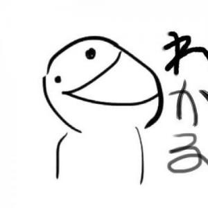 yoyoyou