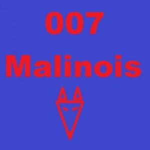 007malinois