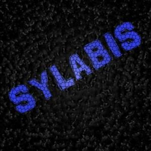 sylabis101