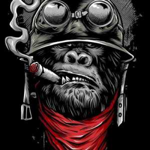 SmokinKingkong