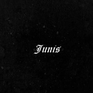 TurnThatUpJunis