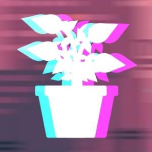 PlantyOnTheBeat