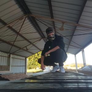 springtraped