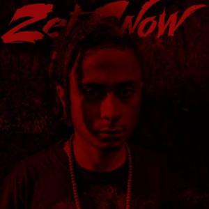 zetsnowpmlp