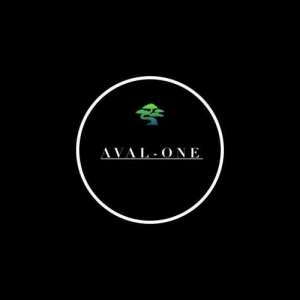 AvaltotheOne