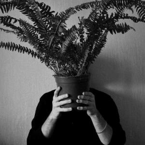 mbaytree