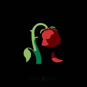 BlVKKROSE