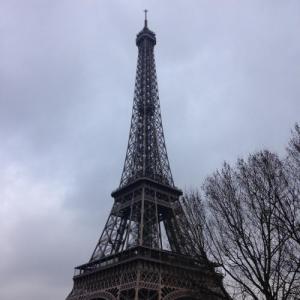 franciscomelhor1
