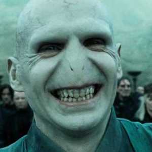 VoldyLover3000