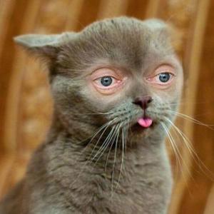 l0w0l