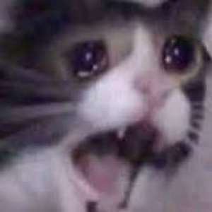 KatieOfficially